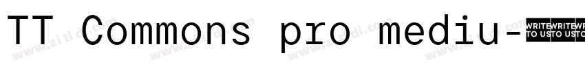 TT Commons pro mediu字体转换